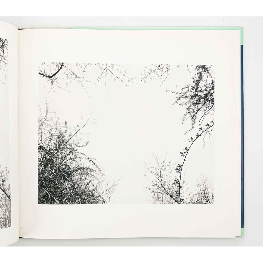 JOHN GOSSAGE | The Pond - first edition hardcover