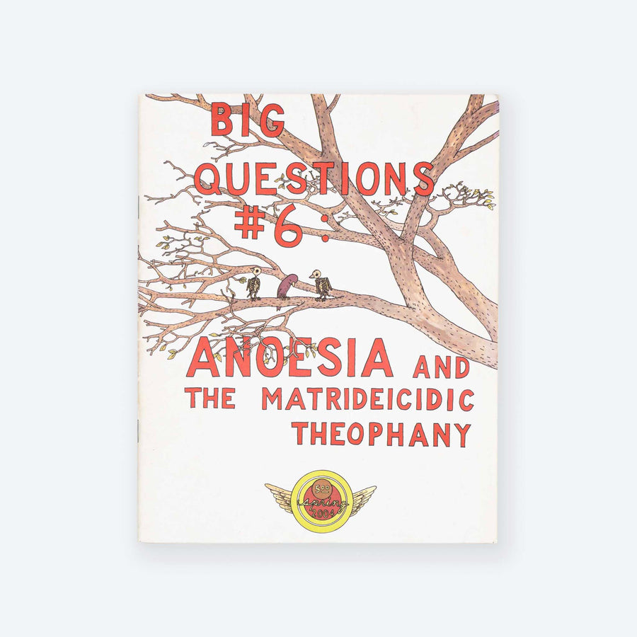 ANDERS NILSEN | Big Questions #6: Anoesia and the Matrideicidic Theophany