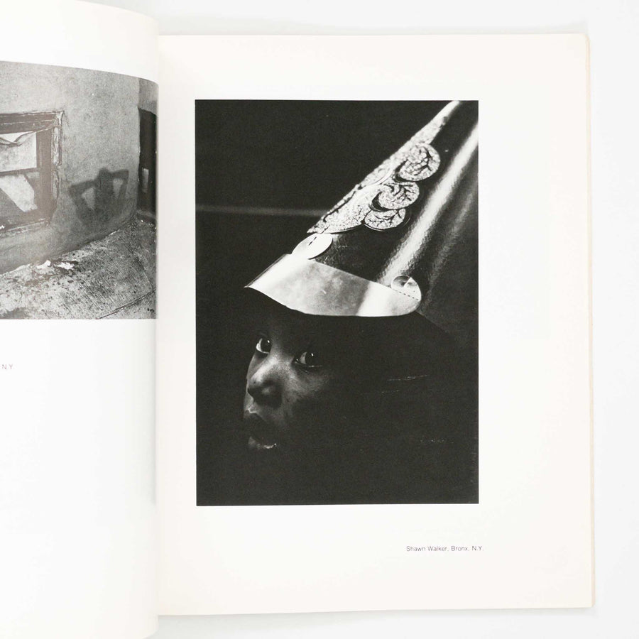 The Black Photographers Annual - Volume 2