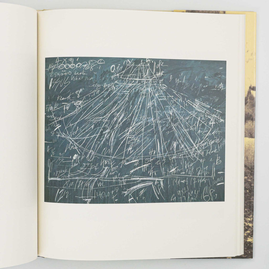 CY TWOMBLY | Bilder Paintings 1952-1976 Volume I