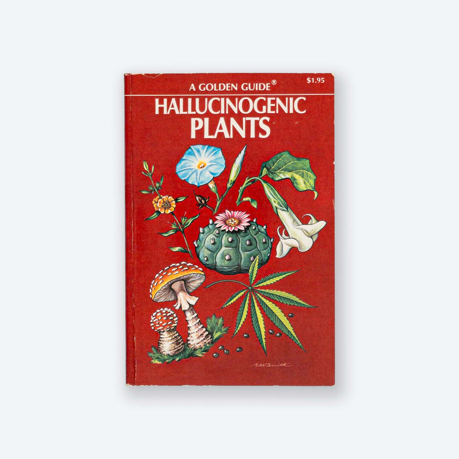 hallucinogenic house plants Hallucinogenic Plants : A Golden Guide
