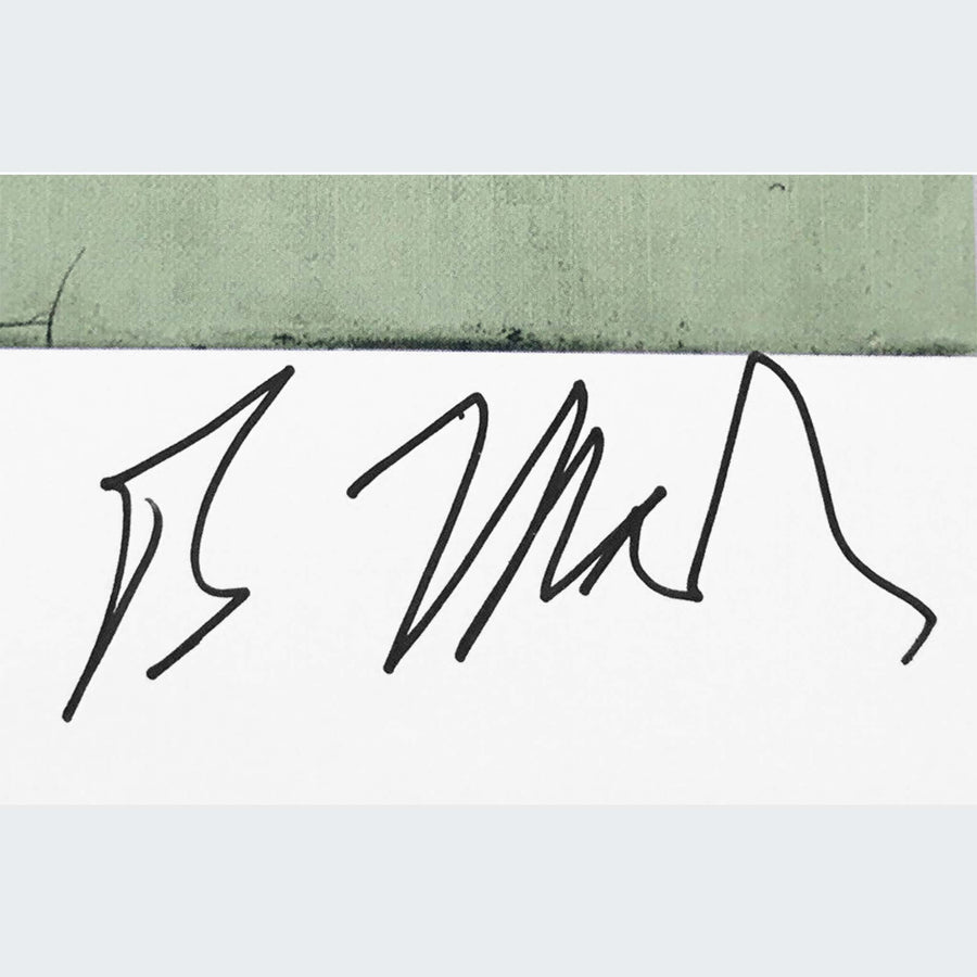 BRICE MARDEN |  Elevation poster - signed
