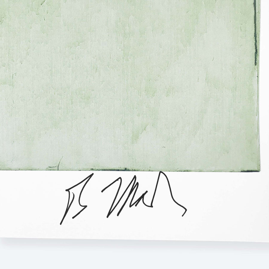 BRICE MARDEN |  Elevation poster - signed